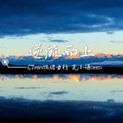 逆流而上