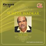 KARAOKE Suresh Wadkar专辑