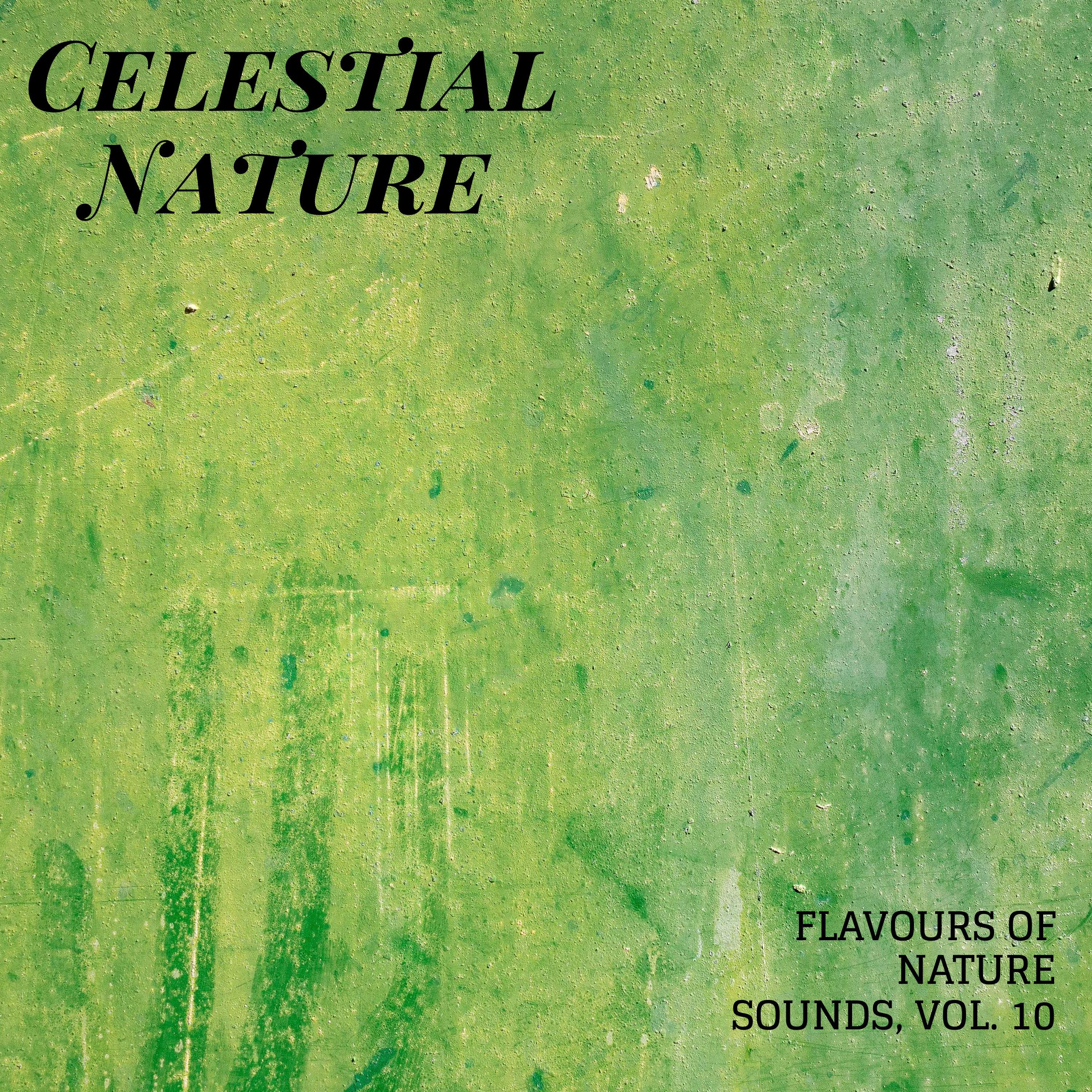 Celestial Nature - Flavours of Nature Sounds, Vol. 10