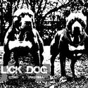 Lick Dog