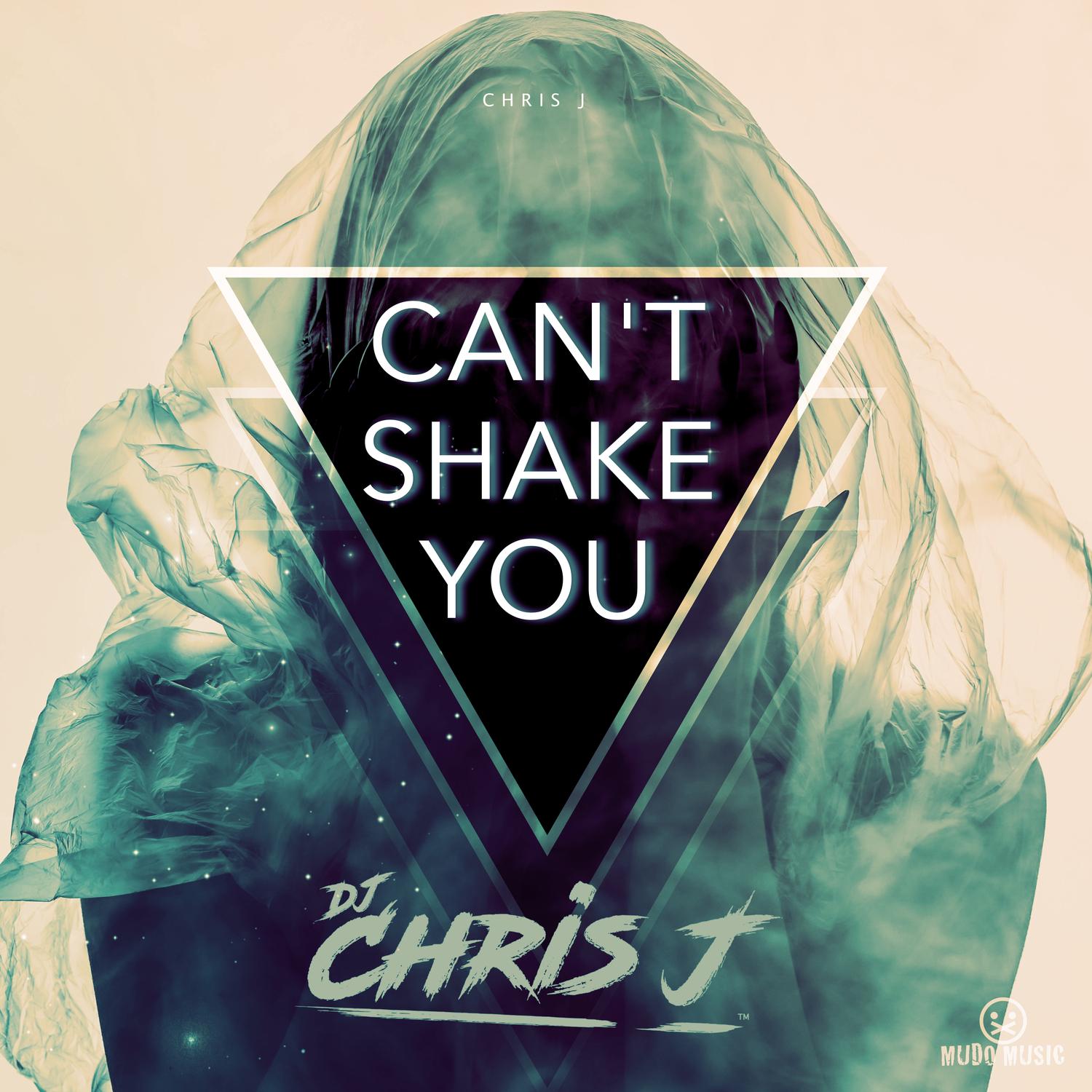 Can't Shake You