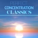 Perfect Concentration Classics专辑