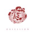 Obsession (feat. DION)专辑