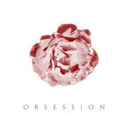 Obsession (feat. DION)