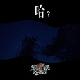 哈？