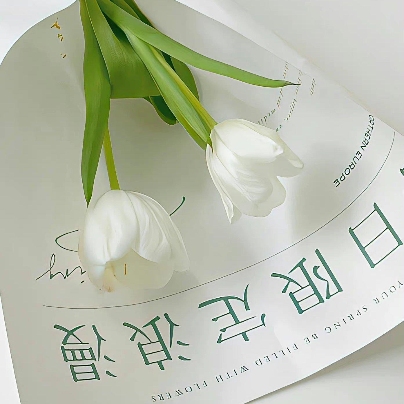 Summer | 请你喝一杯冰汽水