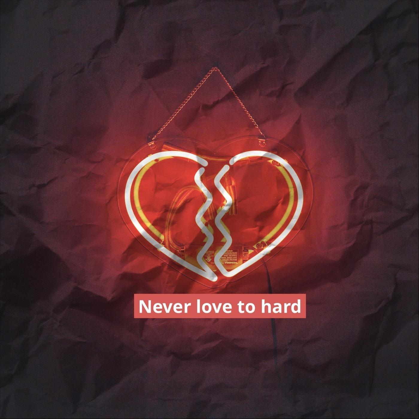 Never Love to Hard (feat. Gesaffelstein)