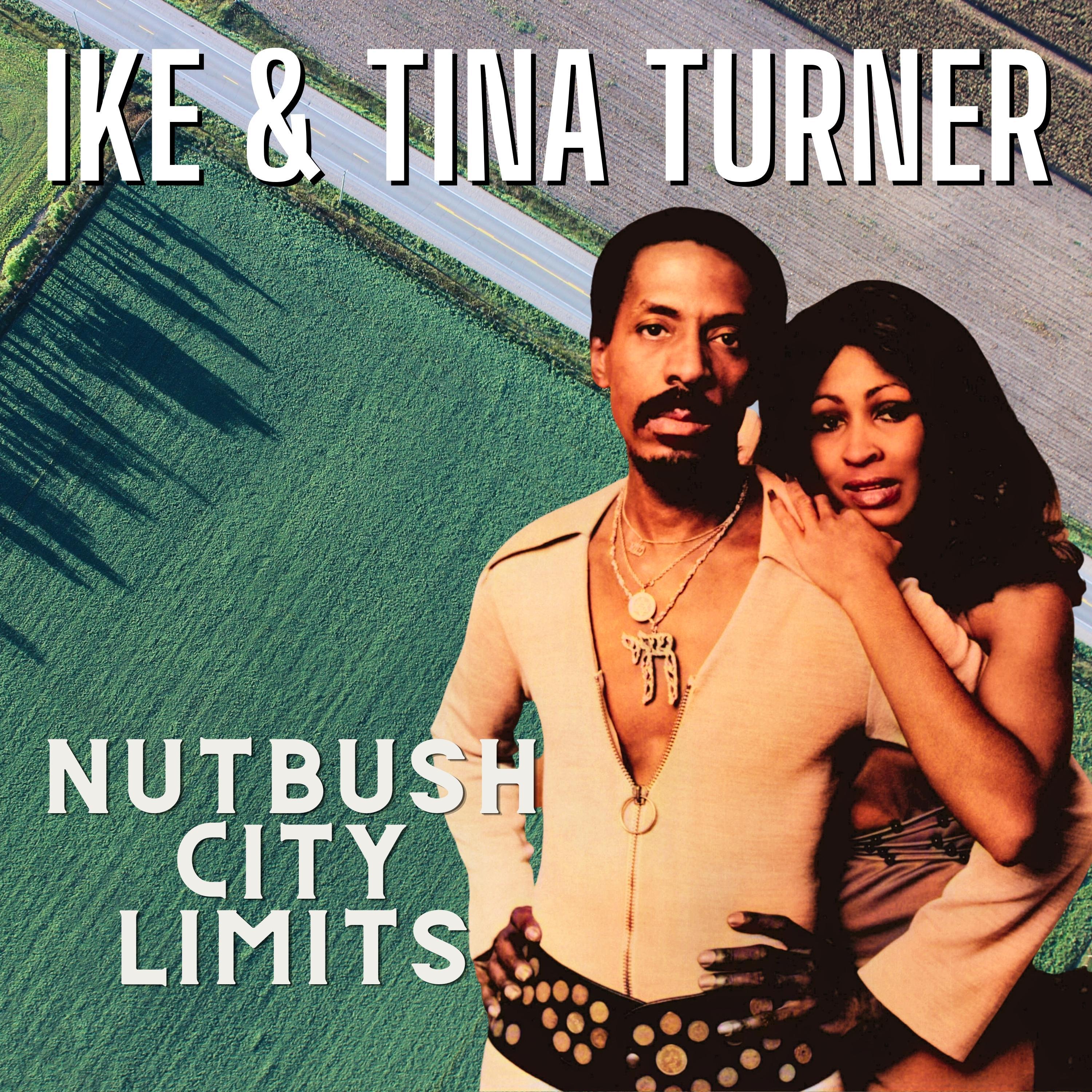 Tina Turner - Stagger Lee