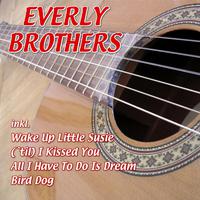 Everly Brothers - Like Strangers (karaoke)