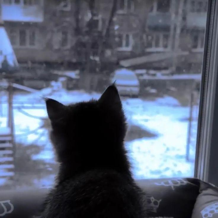 [Free]"泪雨"-Juice WRLD Type Beat