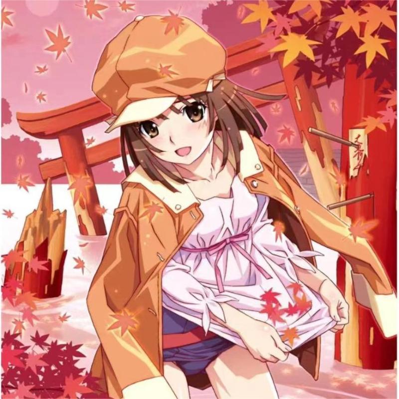 动漫之旅 | 二次元的奇妙世界