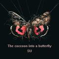 The cocoon into a butterfly