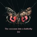 The cocoon into a butterfly专辑