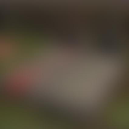 Heaven/Hell with Lil Tracy