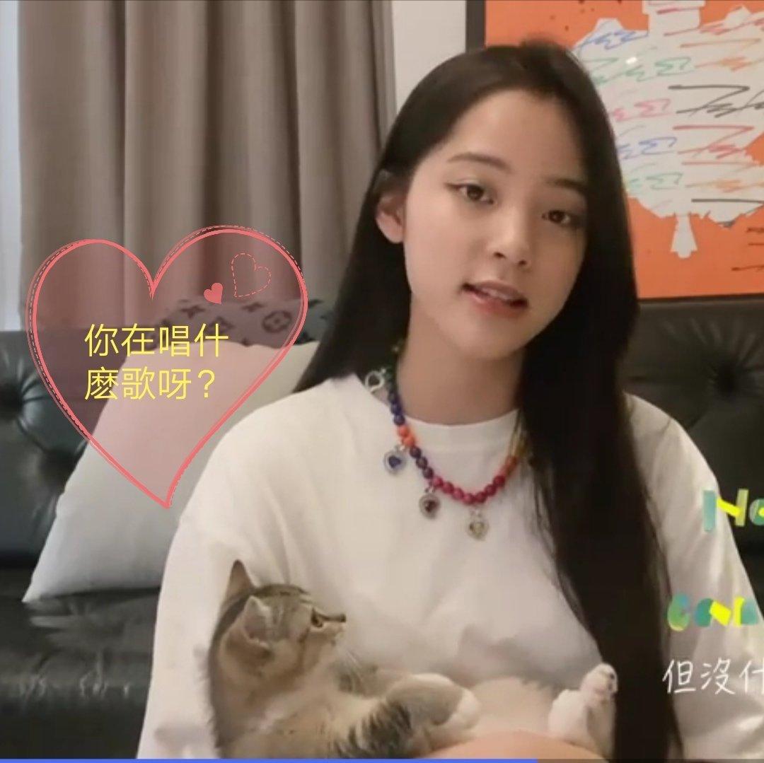 我和我的家猫都喜歡聽的音樂
