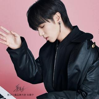 『148面的华晨宇，总有一面适合你』