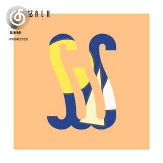 芝加哥浩室舞曲精选|从《Promesses》听起