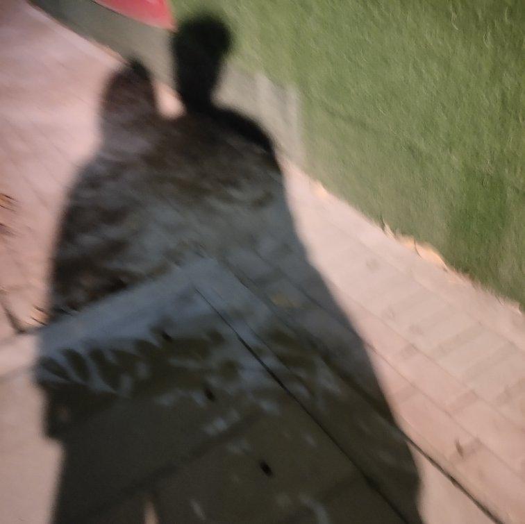清风明月 草长莺飞