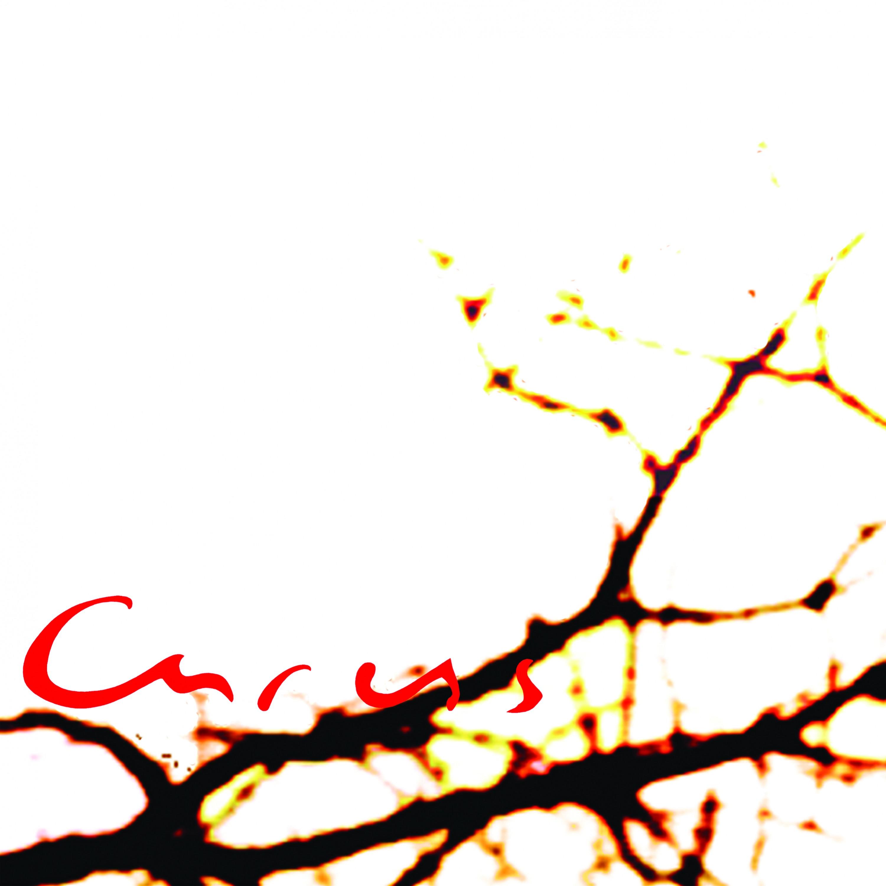 Caress Album