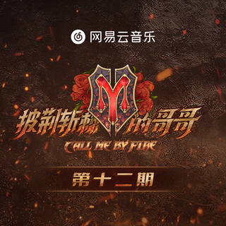 披荆斩棘的哥哥（完结）