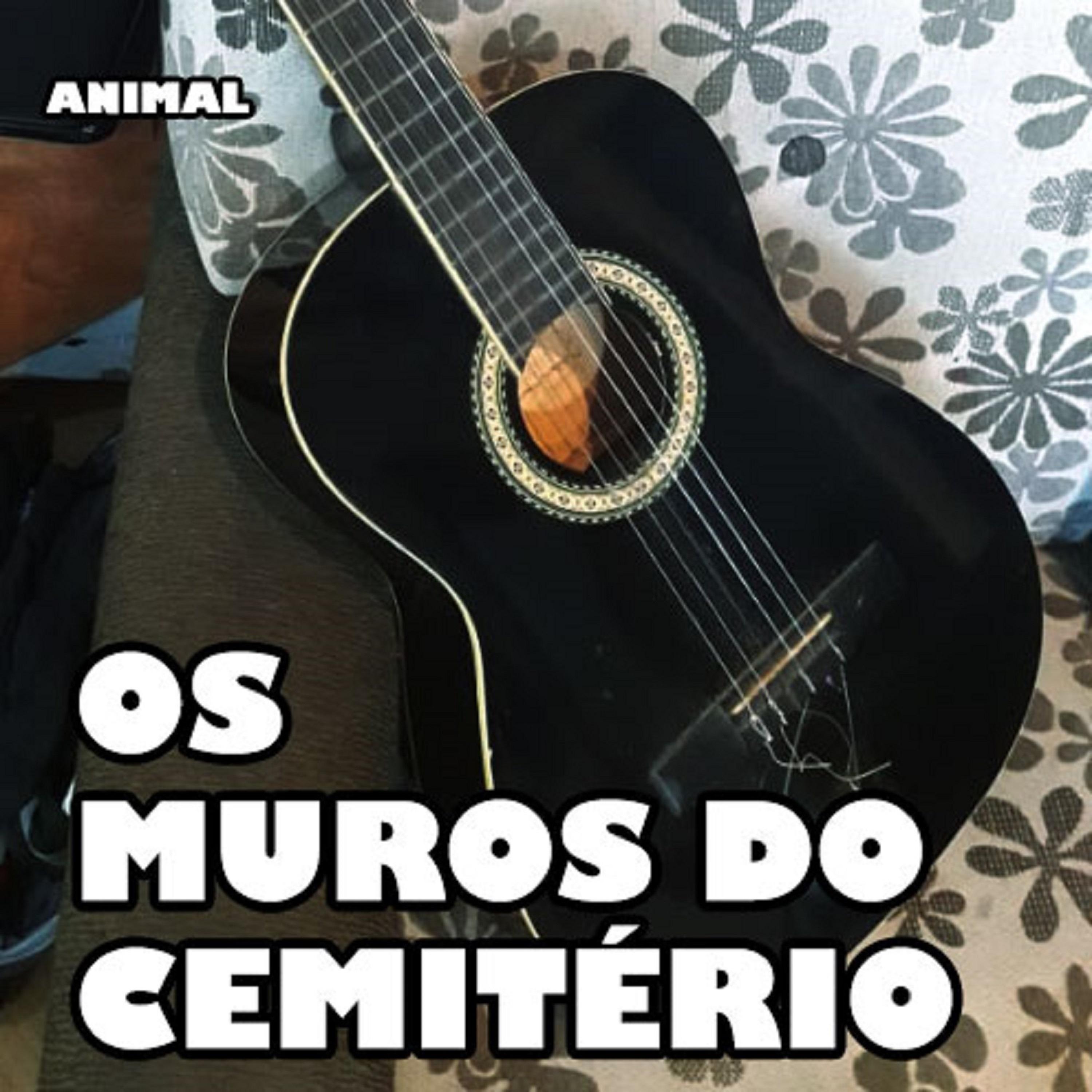 Os Muros do Cemitério