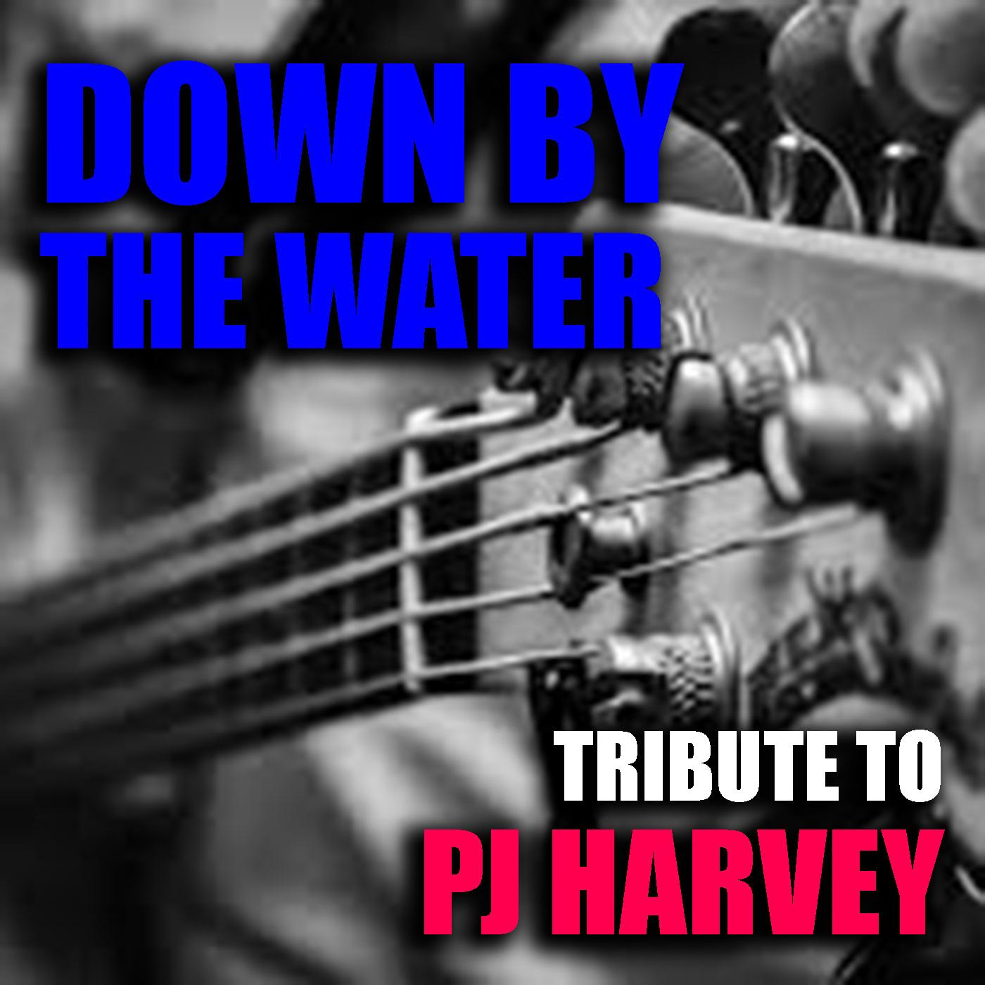 Down By The Water Tribute To PJ Harvey