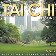 Central Park. Tai Chi Lessons. Meditation and Relaxation Music. Vol. 3