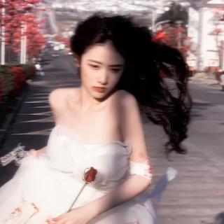 给我三分钟，让你爱上LZ轮子
