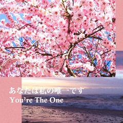 You're The One（바보같은 Story-remix）