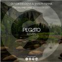 Shades Of Grey (Pegato Remix)