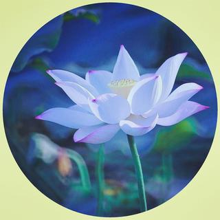 【淡香潜入诗】——清凉古风精选