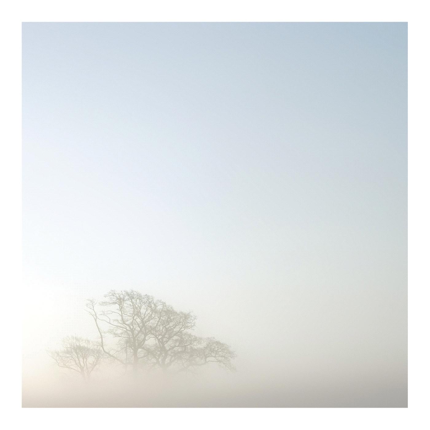 Aroma Trace