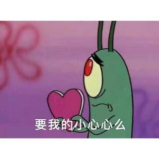Purple桔 梗 花