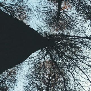 ‖来自灵魂深处的民谣♬