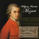 Mozart: String Quartet and Clarinet in A Major, K. 581 - String Quartet No. 19 in C Major, K. 465专辑