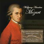 Mozart: String Quartet and Clarinet in A Major, K. 581 - String Quartet No. 19 in C Major, K. 465专辑