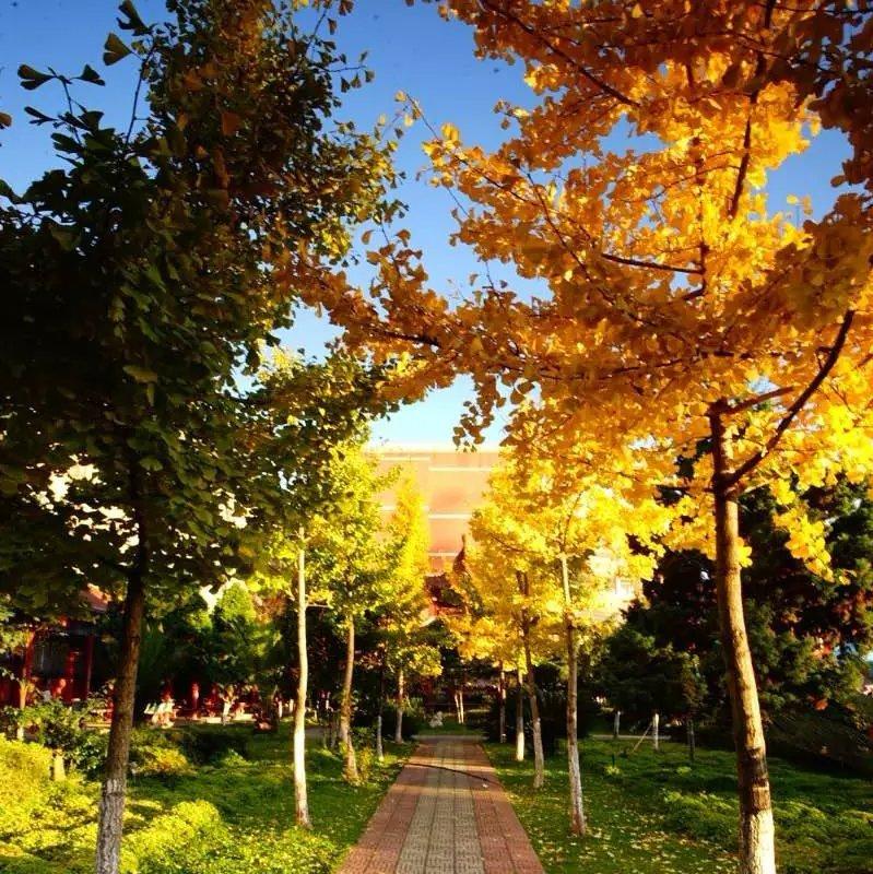 曲靖一中放学铃声