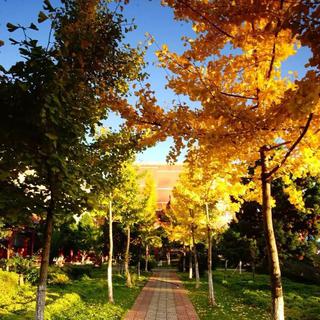 曲靖一中放学铃声