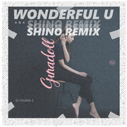 AGA-wonderful u（SHiNO remix）