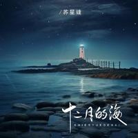 苏星婕 - 十二月的海 (DJ版)