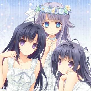 Galgame OP/ED/插入歌/角色歌