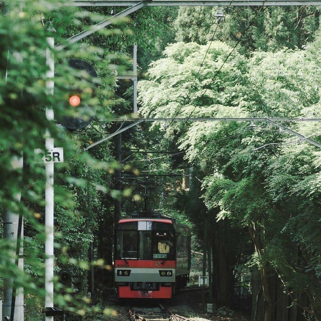 搭上去往春天的列车 迎接属于自己的幸福