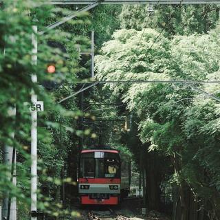 搭上去往春天的列车 迎接属于自己的幸福