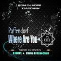 Paffendorf - Where Are You (DjHope小春 Mix)