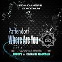 Paffendorf - Where Are You (DjHope小春 Mix)专辑