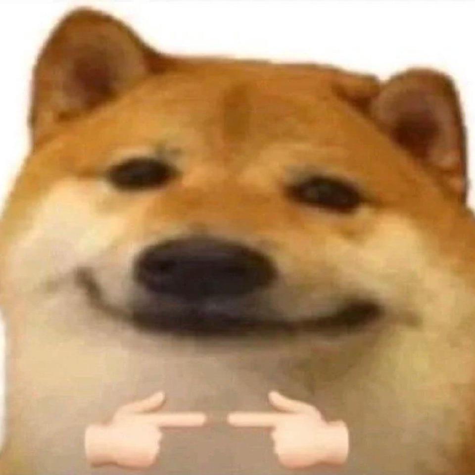 我们喵星人就是这么拽1648957152916_20220403_114004