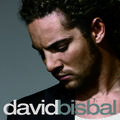 David Bisbal