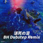 该死的泪 (BH Dubstep Remix)