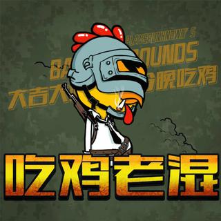 吃鸡老湿歌单