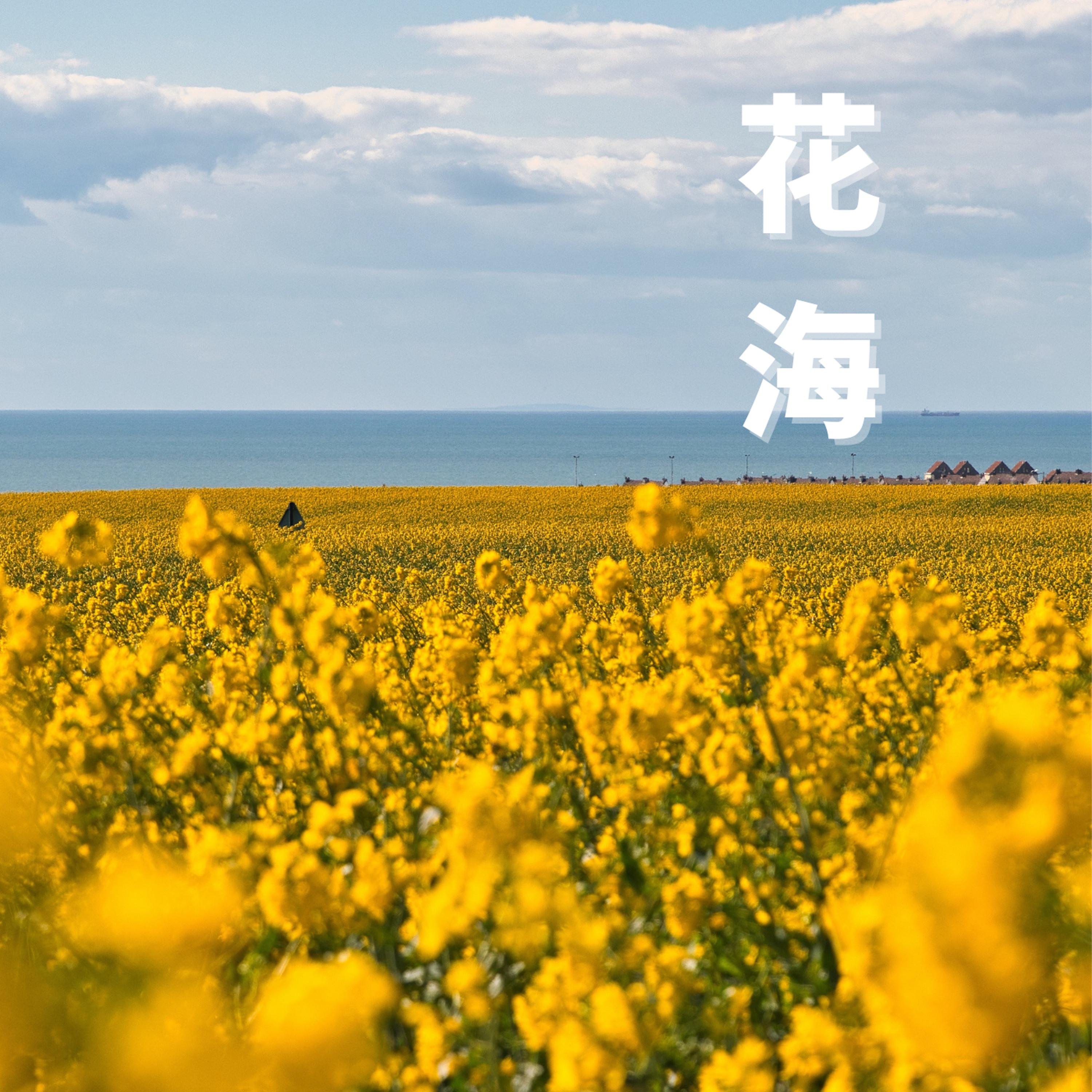 花海 (温柔女声版)